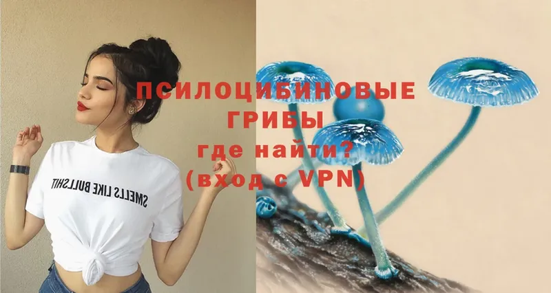 Псилоцибиновые грибы MAGIC MUSHROOMS  Неман 